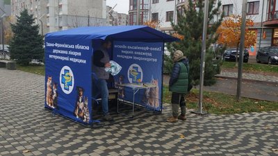Вакцинація, тварини, сказ, Івано-Франківськ