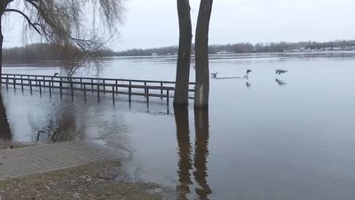 Весняне водопілля: у Києві та області очікується прибування води в Дніпрі