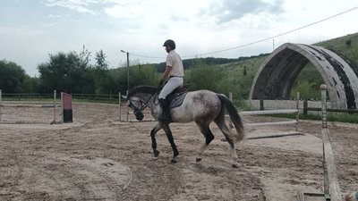 заняття з кіньми заняття з кіньми