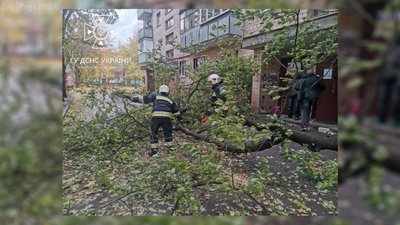 Повалені дерева, пошкоджені дахи, паркани та нема електроенергії: наслідки негоди на Чернігівщині Повалені дерева, пошкоджені дахи, паркани та нема електроенергії: наслідки негоди на Чернігівщині