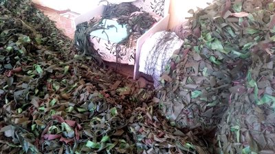 "Ми у захваті від того, що допомагаємо нашим хлопцям!" — майстрині-волонтерки з Миколаївщини плетуть маскувальні сітки "Ми у захваті від того, що допомагаємо нашим хлопцям!" — майстрині-волонтерки з Миколаївщини плетуть маскувальні сітки