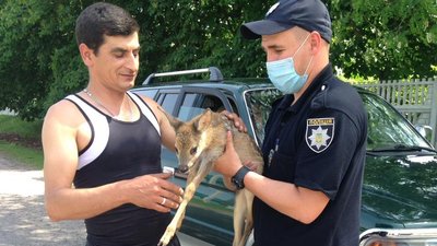 На Вінниччині поліцейські передали у зоопарк маля козулі: виявили прив’язаним на подвір’ї На Вінниччині поліцейські передали у зоопарк маля козулі: виявили прив’язаним на подвір’ї