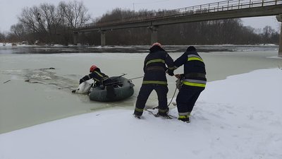 На Львівщині врятували 15 лебедів, які примерзли у річці