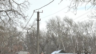 За одну опору - 3 гривні