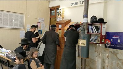 Моляться за мир: в Умань приїхали хасиди Моляться за мир: в Умань приїхали хасиди