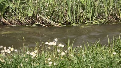 Болото замість городу: чи варто сподіватися на хороший урожай після водопілля Болото замість городу: чи варто сподіватися на хороший урожай після водопілля