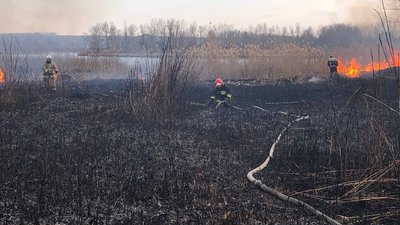 На Запоріжжі сталася пожежа в екосистемі — ДСНС На Запоріжжі сталася пожежа в екосистемі — ДСНС