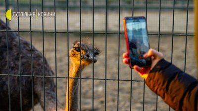 Межигір'я сьогодні. Фоторепортаж Межигір'я сьогодні. Фоторепортаж