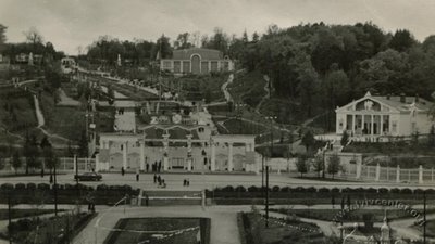 170-річне Львівське дерево потребує спеціального обслуговування 170-річне Львівське дерево потребує спеціального обслуговування