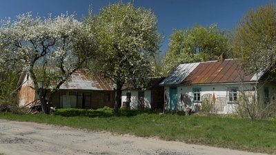 Село, яке колись було засекреченим Гнильче: тиша серед лісів і ставків Рівненщини Село, яке колись було засекреченим Гнильче: тиша серед лісів і ставків Рівненщини