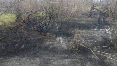 На Херсонщині за добу ліквідовано 7 пожеж в екосистемі На Херсонщині за добу ліквідовано 7 пожеж в екосистемі
