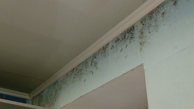 У 10 будинках у Чернігові увімкнули опалення тільки у середині листопада: в чому причина У 10 будинках у Чернігові увімкнули опалення тільки у середині листопада: в чому причина