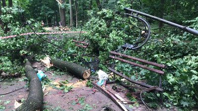 У Львові через падіння дерева загинули курсант Академії сухопутних військ та молода дівчина У Львові через падіння дерева загинули курсант Академії сухопутних військ та молода дівчина