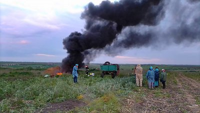 У селі на Кіровоградщині, де лабораторно підтвердили африканську чуму свиней, загинули восьмеро тварин