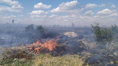 Обстріли не припиняються. На Миколаївщині 15 липня війська РФ продовжили стріляти по громадах області