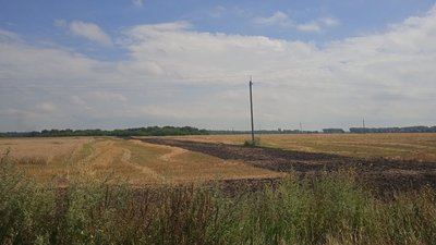 Жнива на Сумщині сповільнилися через дощі
