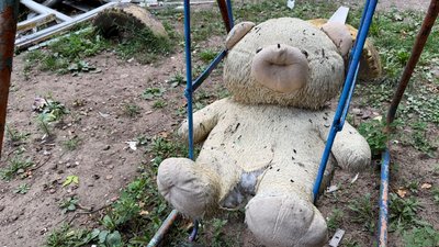 Вежмедик на клумбі біля багатоповерхівки у Краматорську