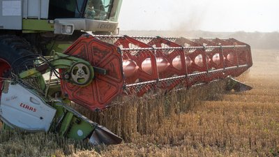 Збирання зернових культур на одному з полів Одещини