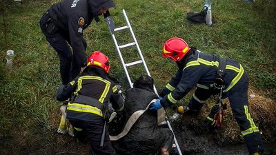 На Тернопільщині рятувальники визволяли жінку з канави, ДСНС