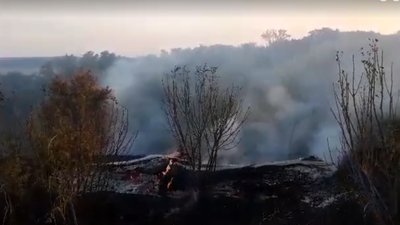 На Сумщині поблизу Могриці сталася пожежа