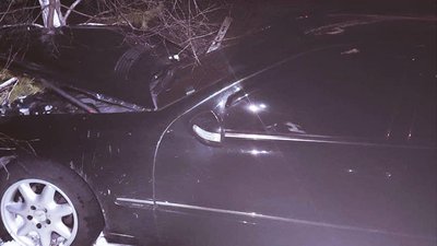 На Житомирщині вантажівка згубила колесо, яке влетіло в легковик, що з'їхав у кювет