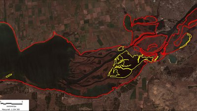 Понад 5000 гектарів парку "Нижньодніпровський" знищені внаслідок обстрілів армії РФ Понад 5000 гектарів парку "Нижньодніпровський" знищені внаслідок обстрілів армії РФ