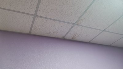 "Допоможіть нам з цією проблемою": у Полтаві на ремонт даху центру адаптації збирають гроші "Допоможіть нам з цією проблемою": у Полтаві на ремонт даху центру адаптації збирають гроші