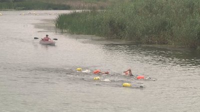 Майже 200 плавців-любителів: на Сіверському Дінці провели благодійний заплив Майже 200 плавців-любителів: на Сіверському Дінці провели благодійний заплив