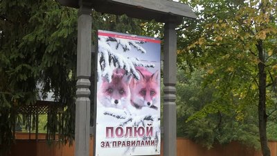 "Стане більше дичини." Мисливський сезон на Сумщині не відкрили "Стане більше дичини." Мисливський сезон на Сумщині не відкрили