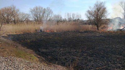 На Полтавщині за добу горіло 70 гектарів трави та очерету На Полтавщині за добу горіло 70 гектарів трави та очерету