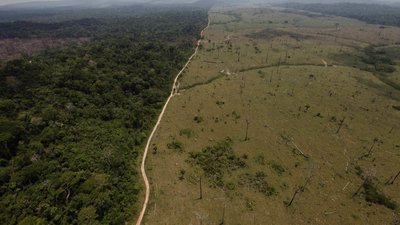 Вирубка лісів Амазонії досягла найвищого рівня за останні 15 років