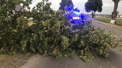 Повалені дерева та знеструмлені села: на Волині ліквідують наслідки негоди Повалені дерева та знеструмлені села: на Волині ліквідують наслідки негоди