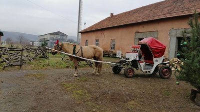 Резиденція святого Миколая діє в Чинадіївському замку Резиденція святого Миколая діє в Чинадіївському замку
