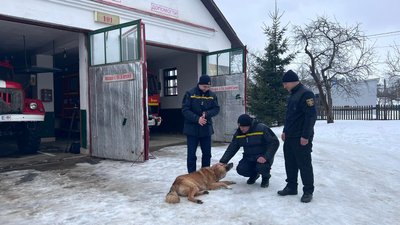 Рятувальники та пес Рудік Рятувальники та пес Рудік
