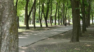 У Полтавських парках травитимуть кліщів