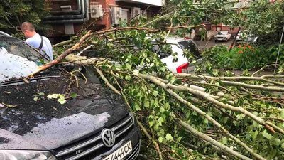 Повалені дерева, пошкоджені автомобілі – рятувальники долали наслідки негоди у Херсоні Повалені дерева, пошкоджені автомобілі – рятувальники долали наслідки негоди у Херсоні
