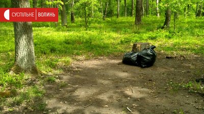 Родина з Волині під час карантину прибирає ліс Родина з Волині під час карантину прибирає ліс