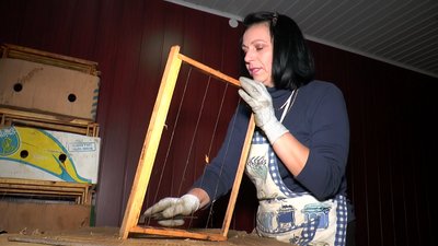 Туристів прийматимуть весною: на Луганщині облаштовують пасіку на грантові гроші Туристів прийматимуть весною: на Луганщині облаштовують пасіку на грантові гроші
