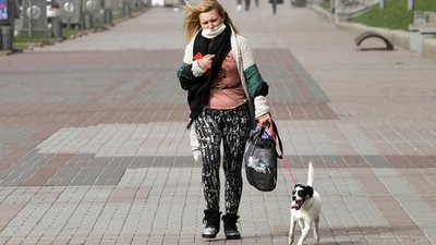 У Херсоні домашній собака врятував жінку від грабіжника