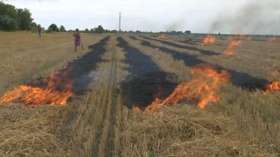"Здай" палія: у громаді на Волині платитимуть гроші за повідомлення про спалювання стерні