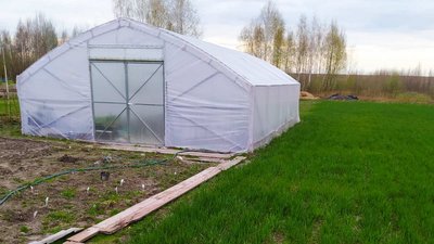 Вирощує квіти для благодійності: на Рівненщині квітникарка перетворює хобі у допомогу військовим Вирощує квіти для благодійності: на Рівненщині квітникарка перетворює хобі у допомогу військовим