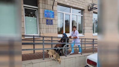 Тиждень блукала лісом: на Чернігівщині розшукали пенсіонерку Тиждень блукала лісом: на Чернігівщині розшукали пенсіонерку
