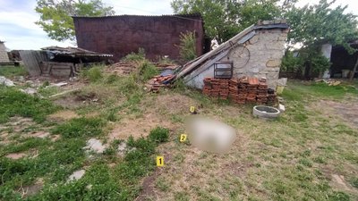 На Миколаївщині чоловіка підозрюють у жорстокому поводжені з твариною