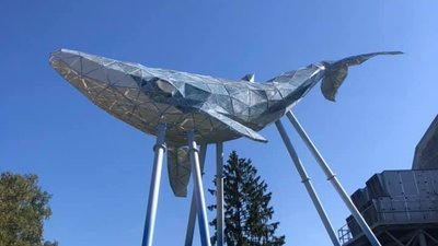 У Києві відкрили медіаскульптуру кита, який слідкуватиме за екологією міста