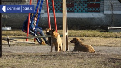 У Волновасі збирають голоси за створення притулку для безпритульних собак У Волновасі збирають голоси за створення притулку для безпритульних собак
