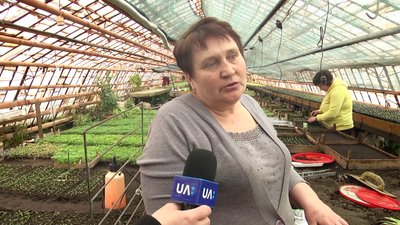 У Житомирі комунальники планують висадити більше 100 тисяч рослин У Житомирі комунальники планують висадити більше 100 тисяч рослин