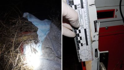 Вкрав термінал і сховав у траву: закарпатцю загрожує до 6 років ув’язнення Вкрав термінал і сховав у траву: закарпатцю загрожує до 6 років ув’язнення