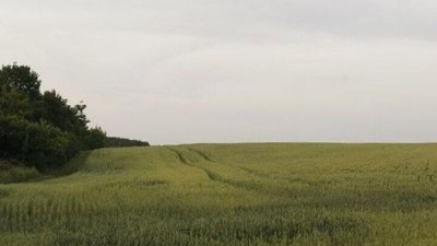 Захмарене небо над полем, червень 2026 року, Хмельниччина