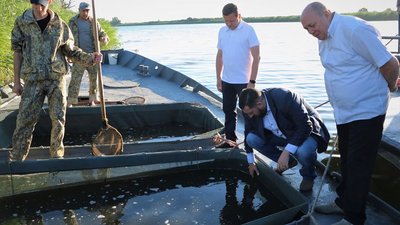 Півтора мільйона мальків осетрових випущено у Дніпро на Херсонщині Півтора мільйона мальків осетрових випущено у Дніпро на Херсонщині