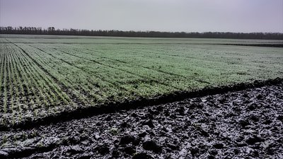 Поле під снігом
